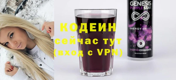 apvp Ельня